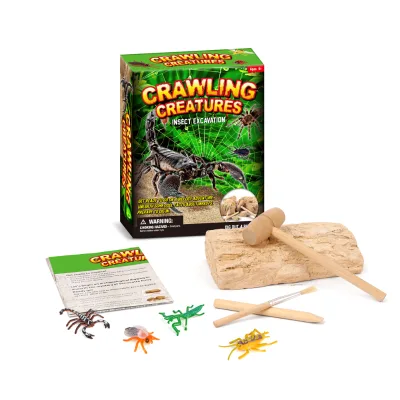Cpc New Arrival Hot Sell Product Eco Friendly Educational Toy Crawling Creatures Dig Out 4 Bugs Insect Excavation Kit