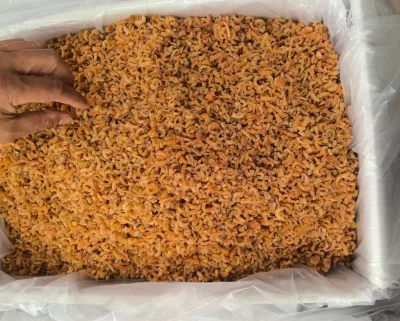 Hot Sale Frozen Dried Shrimp Small sizes Shrimp