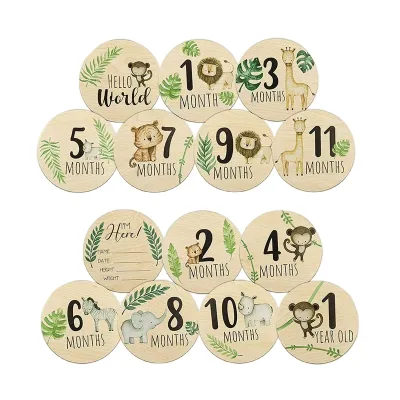 Wooden Milestone Cards and Discs Monthly Baby Milestone Cards Baby Birth Announcement Sign