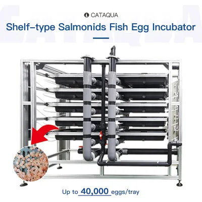 Heavy-Duty Stackable Automatic Fish Egg Hatchery Equipment Aquaculture Tank with Self-Cleaning Drum for High-Density Nursery