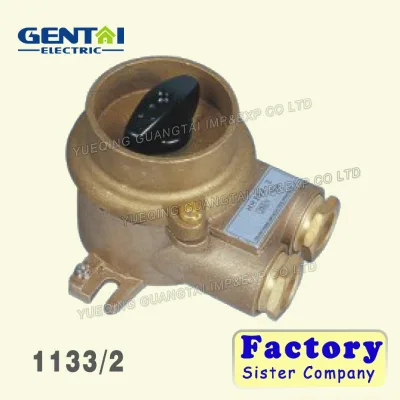 High Quality HH202 (1133/2) 16A IP56 Marine Brass Switch