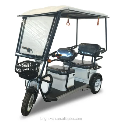 Outdoor Recreational 48v500w Passenger 3 Wheel Tricycle Open Body Type Trike