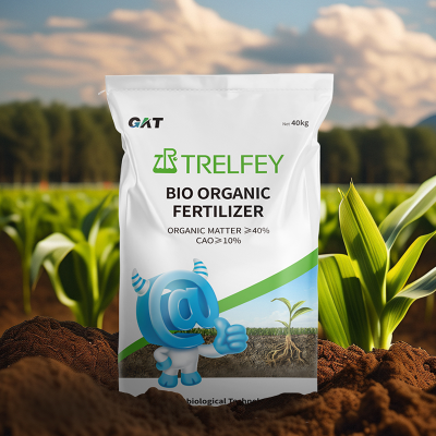 Fast Deliver Potted Flowers and Vegetables Seedling Agricultural Use Organic Fertilizer