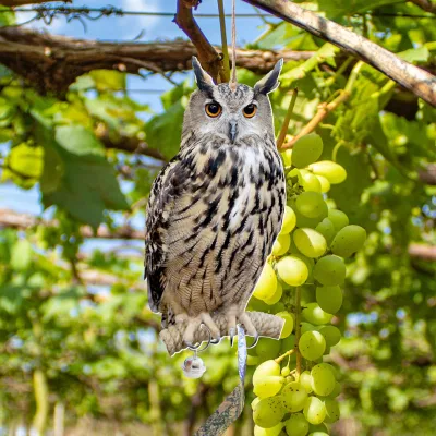 QN001 Pastoral Hanging Bird-Repelling Owl Bell Pendant Outdoor Wind Chime Ornament