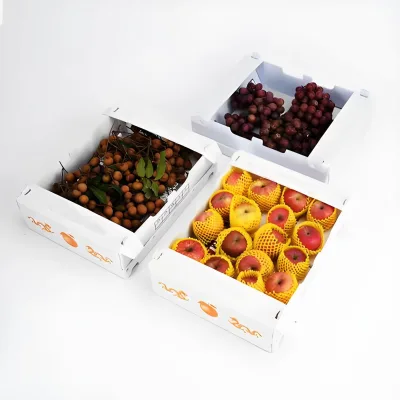 China Manufacturer Display Boxes Recycled Custom Logo Wholesale Foldable Plastic Fruit Vegetable Packaging Box