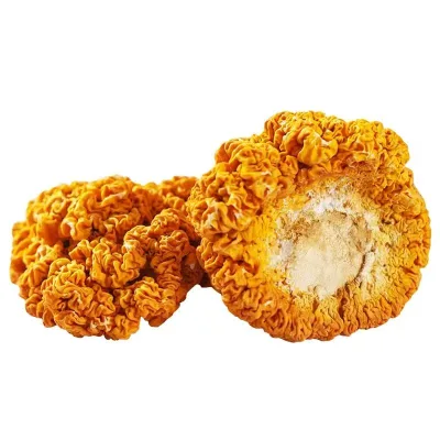 High Quality Natural Mushroom Golden Ear Fungus Pure Naematelia Aurantialba