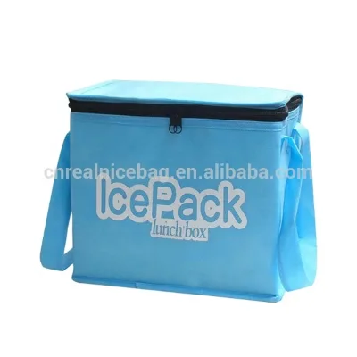 insulated freezer reusable cooler bag IcePack Lunch Box made of non woven material cooler bottle bag