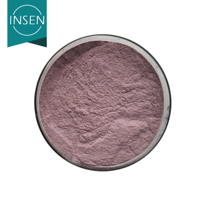 High Quality Freeze Dried Red Cabbage Powder