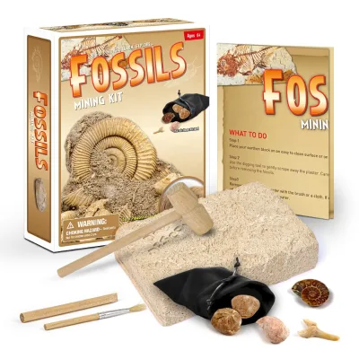 2021 Popular Toy Diy Dig and Discover Authentic Fossils Mining Kit / Real Fossil Excavation Kit Toy for Sell CPC