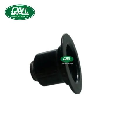 2.0L 16V Petrol Exhaust Engine Valve Seal LR025006 for Freelander 2 2006 - Evoque 2012 - Range Rover Sport 2014 - GL1751