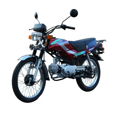 Lifo 100cc Lucky Bike Gasoline Motorcycles with 4 Stroke Engine 100cc & 110cc Motos Other Motorcycles Available