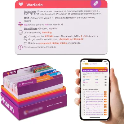 Customized PP/PVC Plastic Flash Cards Study Resources for Students 409/223/320 Cards Durable & Easy to Use