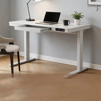 Standing Electric Height-Adjustable Office Computer Desk with Drawers and USB Charging Ports Multifunctional Table for Study