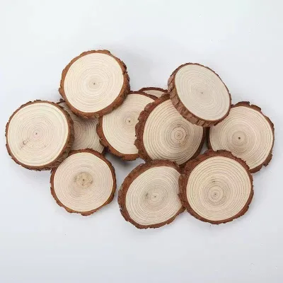 Eco-Friendly DIY Wood Slices & Pine Wood Discs Handicrafts for Kindergarten Decorative Background Wall Laser Engraved
