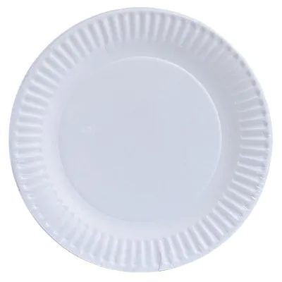 Factory Wholesale White 9-inch Paper Cutlery Plate Disposable Paper Plate for Family