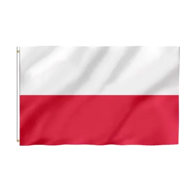 High Quality 3x5ft Customizable Palestine National Flag Banners Aluminum Flagpoles Premium Country Flags for Display