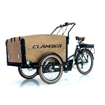 Hot Selling Dutch Family City Bike with 3-Wheel Cargo Front Wood Box and 4 Kids Seat Electric 250W 36V Europe Warehouse