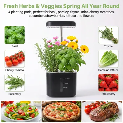 Mini 4 Hole Hydroponic Grower Soilless Indoor Vegetable Planter