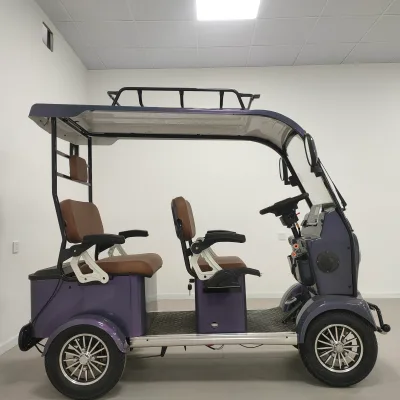 Factory Direct Sales 1200W Electric Four-wheel Vehicle with Overhead Light