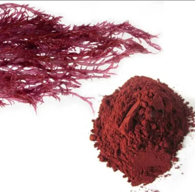 High-Quality Green Algae Extract Bulk Ulva Supplement for Health and Plant Nutrition