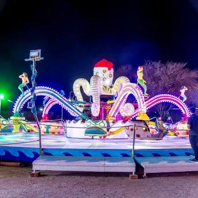 Thrilling Amusement Octopus Ride Adults Entertainment Games Octopus Machine Manege Octopus Turntable Rides for Sale