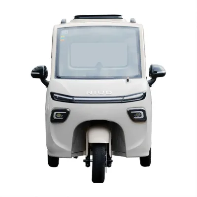 Family Four-Wheel Electric Vehicle  CCC Approved New Energy  Mini Electric 2-Seater Pickup Truck Energy Product