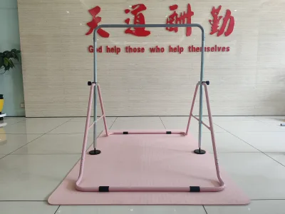 2025 New Design Kids Fitness Bar - Indoor Playground Equipment for Home, Strength Training for Children