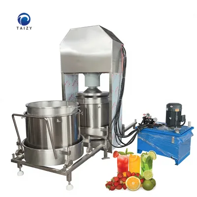 Stainless Steel Hydraulic Apple Juice Presser Orange Cold Press Machine Fruit Vegetable Juicer Extractor