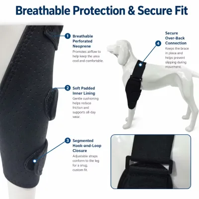 Pet Elbow Compression Brace With Hot Cold Gel Pack for Dog Joint Soreness and Pressure Sore Care Custom Logo Supported