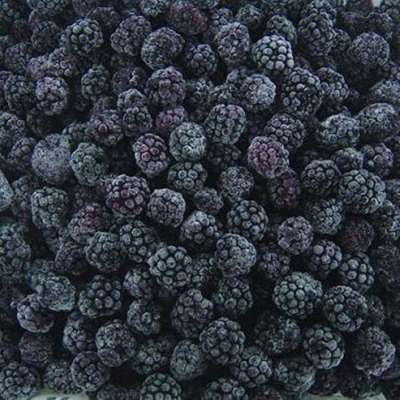 Premium for Export Frozen Fruits Blackberry Style HACCP Certified Frozen Blackberries