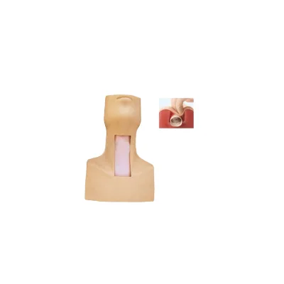 Simulated Training Model for Tracheotomy Puncture