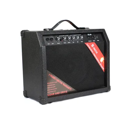 High Quality Guitar Amplifier Bass Guitar Amplifier Combo Speaker 5-80W Multiple Choice
