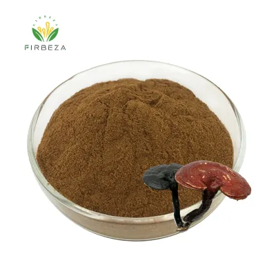 Factory Price 100% Organic Bulk Reishi Ganoderma Lucidum Lingzhi Mushroom Extract Powder