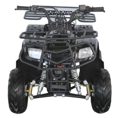 China Design 110cc king Quad Atv