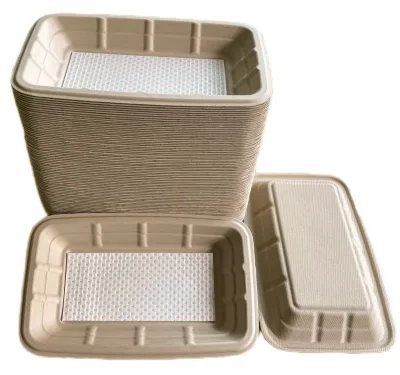 Wholesale Biodegradable Bagasse Pulp Square Food Container Meat Tray With Absorbent Pad