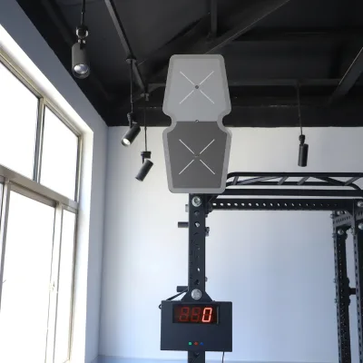 Cross Fit Training Rig Attachment Wall Ball Target with Counter