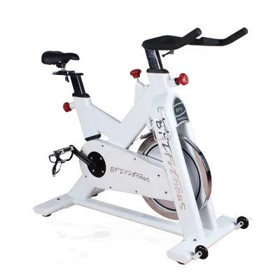 Professional Gym Master Fitness Indoor Spinning Bike