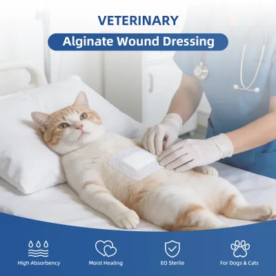 Veterinary Hospital Calcium Alginate Wound Dressing for Pet Post Surgery Care Sterile Absorbent Non Stick Pad Dog Cat Healing