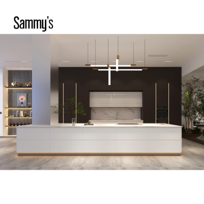Modern Kitchen and Flat Pack Kitchen and Ready Made Kitchen Cabinets
