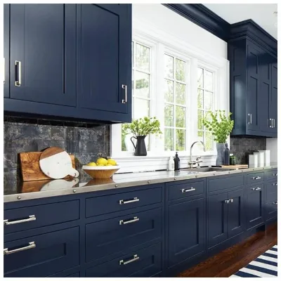 American Standard Kitchen Cabine Insert Shaker Door Design