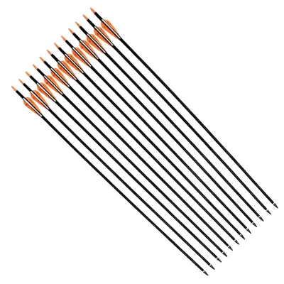 TIGER ARCHERY 30-Inch Carbon Arrow Practice Hunting Arrows Plastic Feathers Removable Tips Compound Recurve Bows (Pack 12) Model