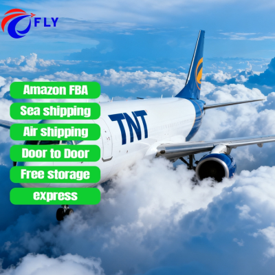 Shipping Agent Forwarder by Sea From China to Mexico Usa Sea Freight Forward Agents