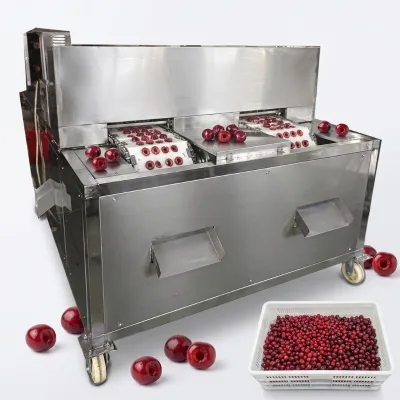Versatile Double-track Longan & Date Coring Machine for Dried Red Date & Longan Processing Workshop