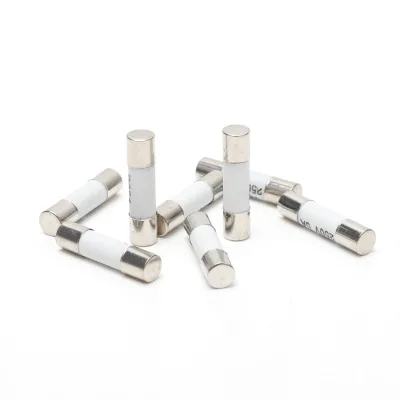 Fast Blow Time Delay 5x20mm Ceramic Fuse 250V 3A 6.3A 10A 15A 20A 30A High Breaking Capacity FUSE