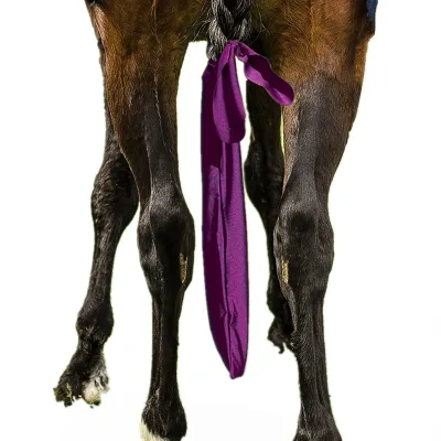 Factory Wholesale Stretchy Horse Tail Bag Horse Racing Tail Protector Bags Accessories Waterproof Small Horse Tails Protect Bag
