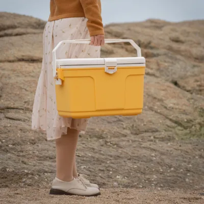 Food Grade Portable Cooler Box BPA Free Insulated Ice Chest 48H Cooling Safe For Breast Milk Baby Food Herbal Medicine