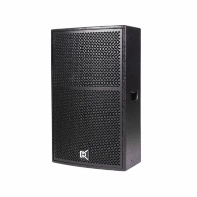 Pa Systems Active 15 Inch Professional Speaker Karaoke Machine