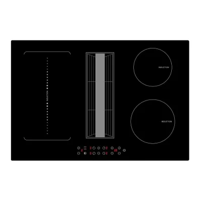 Outdoor Voice Control Six Stove Induction Hob With Extractor Hood