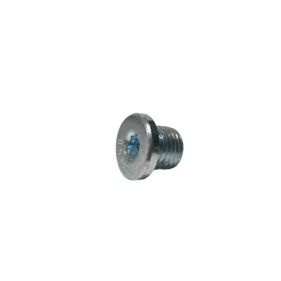 Car Screw Wholesaler Oil Drain Bolt Screw Nut N0160275 for Porsche 944 Oil Drain Plug