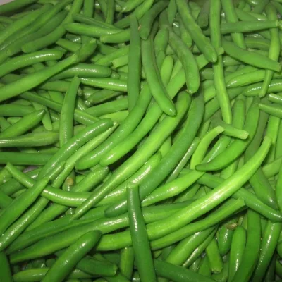 Premium IQF Frozen Greenhouse Grade a Green Beans Block for Industrial Food Processing and Soup Making Wholesale